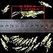 Masione 20PCS Soft Shrimp Fishing Lure Baits Gear for Bream Bass Flathead Whiting Snapper