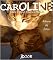 Livro Caroline [pt]