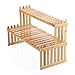 OGORI Plant Stand Flower Display Stand, 2 Tier Desk Shelf Rack Bamboo Bonsai Tools