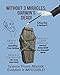 Without 3 Miracles Darwin's Dead!: Science Proves Atheistic Evolution is IMPOSSIBLE! by 