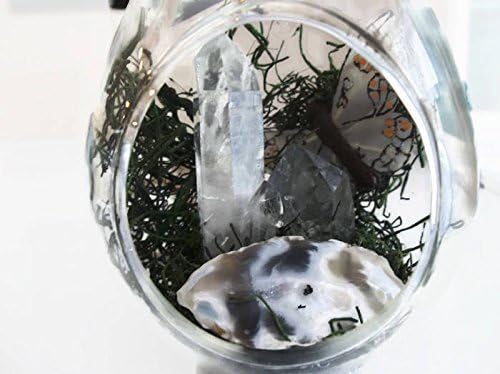 Clear Quartz Crystal Point Glass Terrarium with Geode 4.5 inches