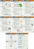 The Mole Poster Set 0f 8 Printed on vinyl (10.5 in x 16 in each)