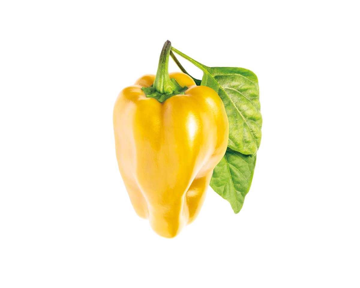 Click & Grow - Juego de 3 Recarga para macetero Amarillo: Amazon ...