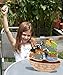 BeginAgain Balance Boat Endangered Animals Game - Promotes Active Play and Motor Skills - 3 and Up