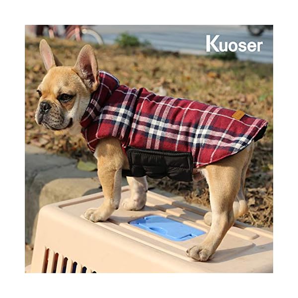 kuoser cozy waterproof windproof