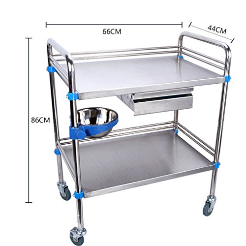 Medical Trolley Stainless Steel Trolley/Beauty Salon Hospital Clinic Utility Vehicle/Medical Instrument Table/Clinic Surgical Vehicle/Infusion Station Transfusion Vehicle/Load 100 Kg -Tool ca