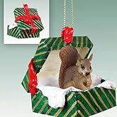 Squirrel Gift Box Christmas Ornament Red - Delightful!