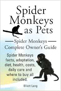 Spider Monkeys as Pets. Spider Monkeys Facts, Adaptation, Diet, Health