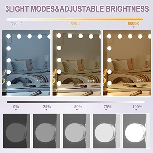 Fenair Vanity Mirror with Lights, Hollywood Mirror with Lights, 14