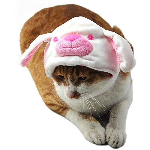 Alfie Pet by Petoga Couture - Qeno Rabbit Hat for Party Halloween Special Events Costume (for Small Dogs & Cats)