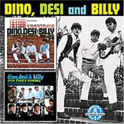 Dino, Desi And Billy - Top 100 Hits Of 1965 - Zortam Music