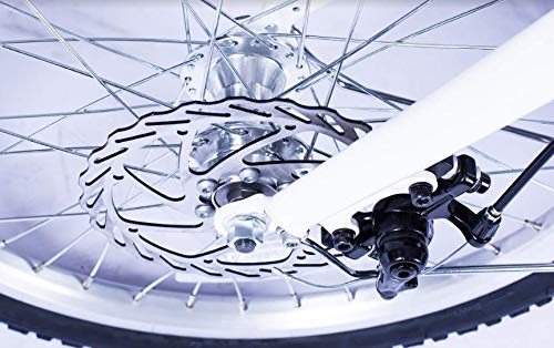 Totem Electric Bicycle 250W Commuter Series 20" Folding Bike w/Removable 36V Battery, 5 Level Pedal Assist and Pedal-Free Mode, USB Charging Port, Lightweight 44 lbs, Ships Fully Assembled - White