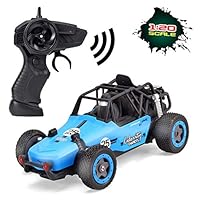 BGdoyz Remote Control Car, RC Cars for Kids 2.4GHz Race Vehicle 1/20 Electric Sport Racing Hobby Toy Car Dual Motors Rechargeable Xmas Gifts for Boys Girls Adults (Blue)