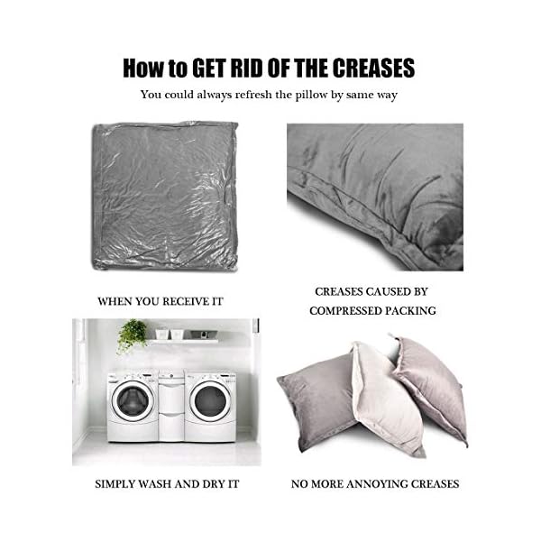 EDOW Velvet Throw Pillows (Set of 2), Soft Fluffy Down Alternative