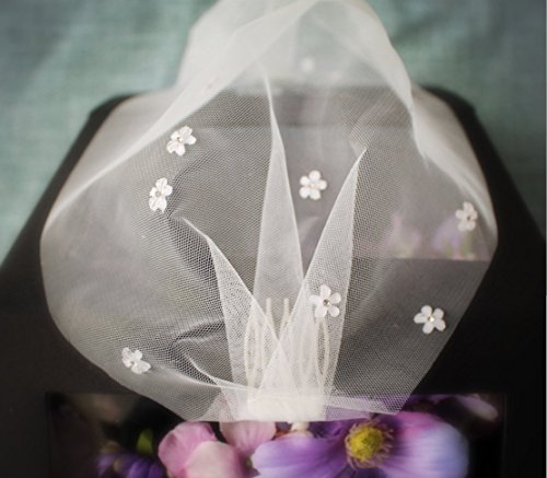 Auch Elegant Flower Crystal Birdcage Veil for Bride, Bridal Short Veil with Comb for Wedding, White