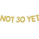 Not 30 Yet Banner - Last Year In My 20s, Happy 29th Birthday Banner, Cheer to 29 Years, Funny 29th Birthday Party Decorations Gold Glitter