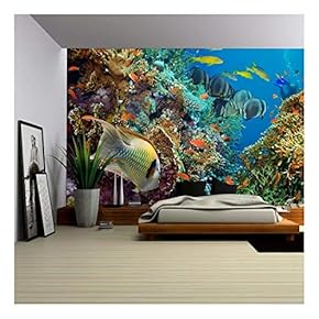 Tropical Anthias Fish with net fire Corals on Red Sea Reef Underwater - Removable Wall Mural | Self-Adhesive Large Wallpaper - 66x96 inches