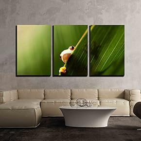 3 Piece Canvas Wall Art - Frog Shadow on The Leaf - Modern Home Art Stretched and Framed Ready to Hang - 16"x24"x3 Panels