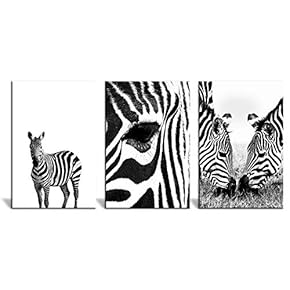 3 Panel Canvas Wall Art - Close Up of Zebras in Black and White - Giclee Print Gallery Wrap Modern Home Art Ready to Hang - 16"x24" x 3 Panels