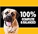PEDIGREE For Big Dogs Adult Complete Nutrition Large Breed Dry Dog Food Roasted Chicken, Rice & Vegetable Flavor Dog Kibble, 36.4 lb. Bag