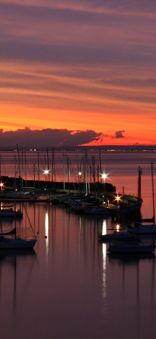 PeelitStickit, Beautiful Nature Wall Murals, ID-1432, vinyl