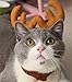 Lanyar Small Brown Pet Antlers Christmas Holiday Hat for Kitten Cats Dog Accessories