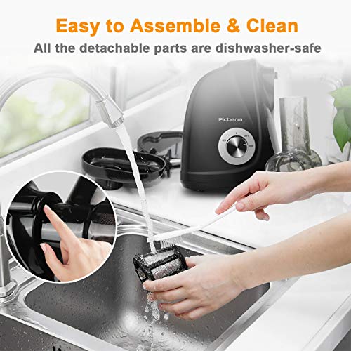 Juicer Machines, Picberm Slow Masticating Juicer Extractor with Quiet Motor Easy to Clean, BPA-Free Cold Press Anti-Blocking Juicer with Peeler, Brush & Recipes for Fruits and Vegetables, Black