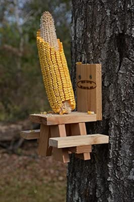 Picnic Table Squirrel Feeder Amazon Co Uk Garden Outdoors