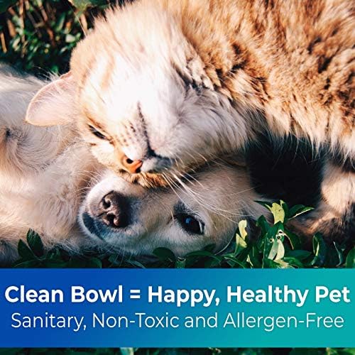 disposable cat bowls