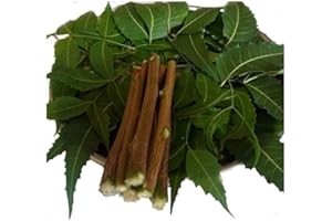 Natural Neem Chew Sticks for Teeth and Oral Care, Traditional Datun Twigs, Pack of 30