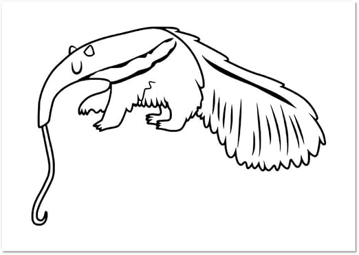 A0+ 'Ameisenbär' Poster / Kunstdruck (PP00088468): Amazon.de: Spielzeug