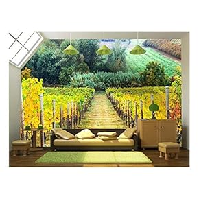 Beautiful Autumn Landscape with Vineyards. Tuscany, Italy - Removable Wall Mural | Self-Adhesive Large Wallpaper - 66x96 inches