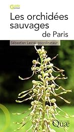 Les  orchidées sauvages de Paris