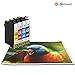 GPC Image 10 Pack Compatible Ink Replacement for Epson 220XL 220 XL T220XL120 (4 Black, 2 Cyan, 2 Magenta, 2 Yellow) for use in Epson Workforce WF-2650 WF-2660 WF-2630 Expression XP-420 XP-320 XP-424