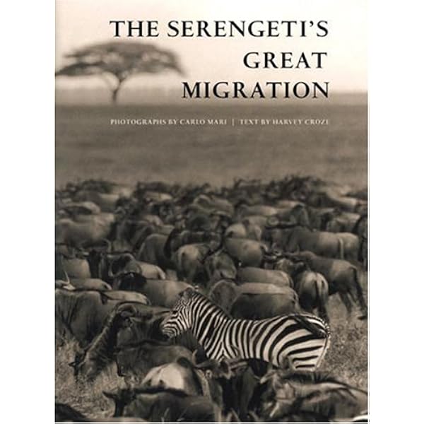 The Magnificent Migration: On Safari with Africa's Last