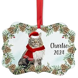 Brown Classic Tabby Norwegian Forest Cat Christmas