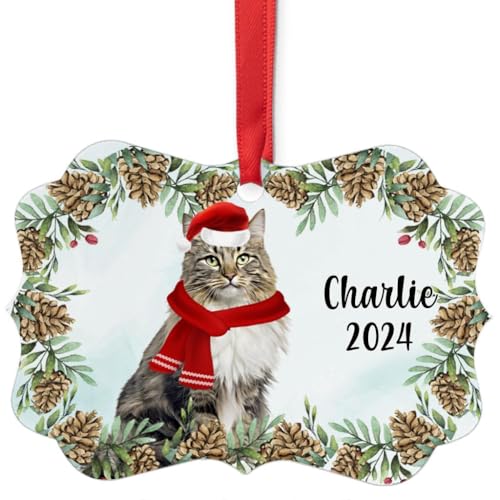 Brown Classic Tabby Norwegian Forest Cat Christmas