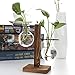 Water Planting Glass Vase,Clear Glass Vase Hanging Plant Terrarium with Retro Solid Wooden Stand for Hydroponics Plants Home Garden
