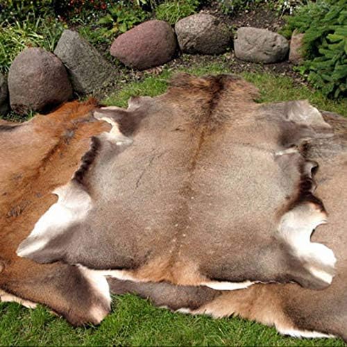 Large Red Deer (Cervus Elaphus) Stag Skin Rug Hide Fur Pelt Taxidermy Home Floor Decor Design Carpet or Wall Hanging