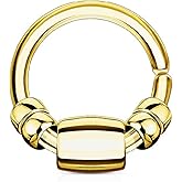 Pierced Owl - 16GA Removable Steel Cylinder and Beads 316L Surgical Stainless Steel Annealed Seamless Bendable Cartilage Daith Lip Nose Ring