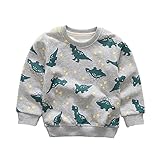 Enfants Chéris Little Boys' Crew Sweatshirt Long Sleeve T-Shirt Kids Clothes Pullover Cotton Dinosaur Tops (Grey, 3T)