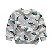 Enfants Chéris Little Boys' Crew Sweatshirt Long Sleeve T-Shirt Kids Clothes Pullover Cotton Dinosaur Tops (Grey, 3T)