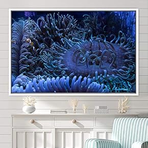 signwin Framed Canvas Wall Art Deep Under Group...