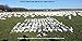 Sillosocks Juvy Snow Goose Decoy (12-Pack), White