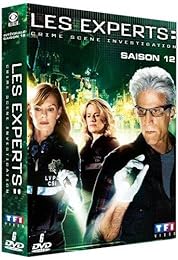 Les Experts - Saison 12