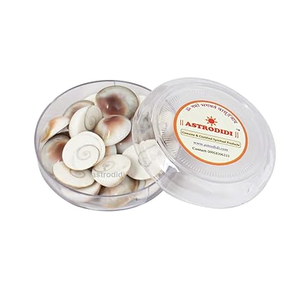 ASTRODIDI Stoneware Gomti Chakra/Gomati Chakra (Cream)