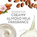 Olay Almond, 15.2 oz