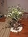 D'vine Dev 10 Inch White Ceramic Pitcher Vase for Home Décor, VS-PT-1