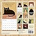 A Year of Snarky Cats 2020 Wall Calendar