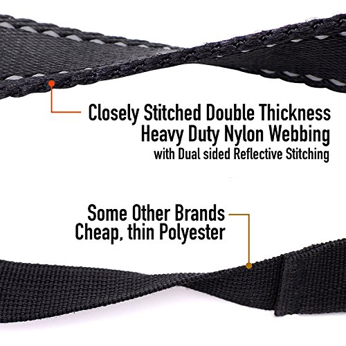 Primal Pet Gear Dog Leash 6ft Long Traffic Padded Two Handle Heavy